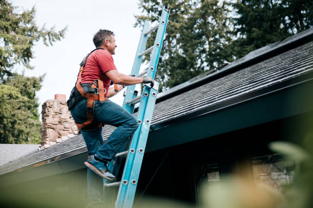 Professional Roof Repair & Installaion in Rocky Mount, NC